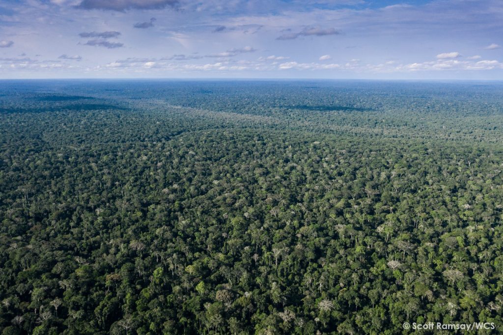 Bantu series – How did they pass the Equatorial forest&nbsp;?