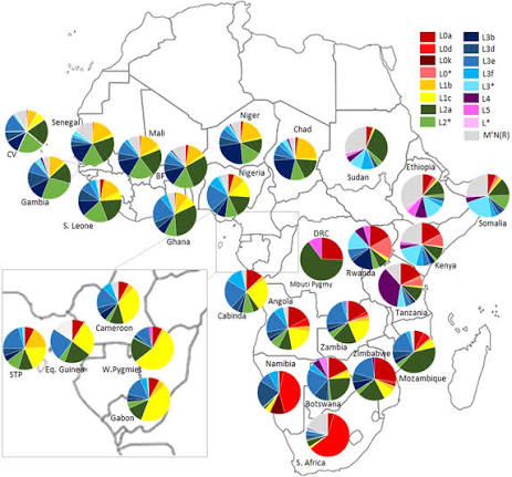 Bantu series 9 – Why no clear genetic proof of  the Bantu theory&nbsp;?